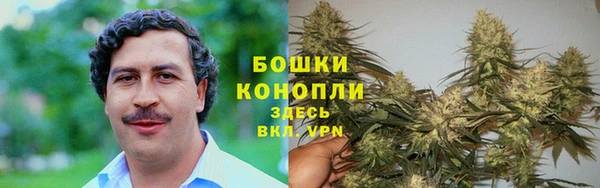 PSILOCYBIN Лагань