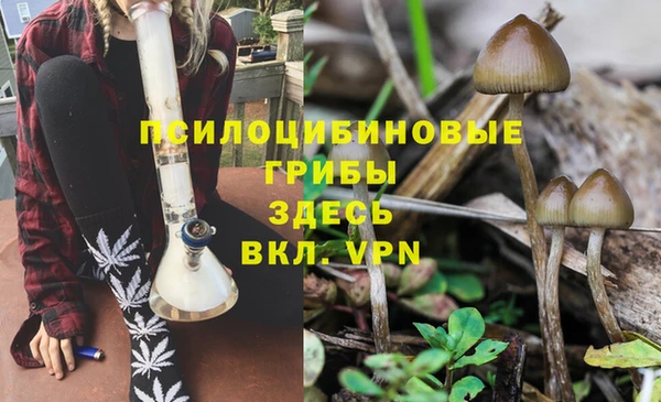 PSILOCYBIN Лагань
