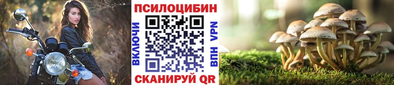Галлюциногенные грибы MAGIC MUSHROOMS  где купить наркоту  Оса 